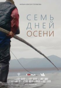 Семь дней осени 2023