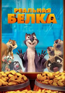 Реальная белка 2013