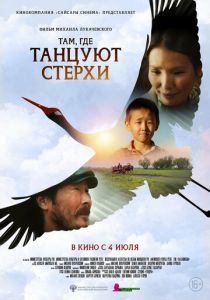 Там, где танцуют стерхи 2024
