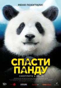 Спасти панду 2020