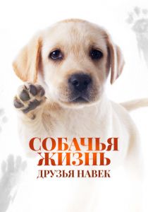 Собачья жизнь: Друзья навек 2023