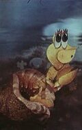 Отшельник и роза 1980