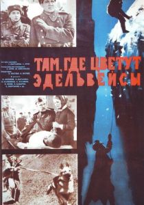 Там, где цветут эдельвейсы 1965