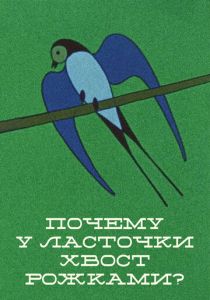 Почему у ласточки хвостик рожками 1967