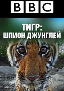 BBC: Тигр – шпион джунглей 2008