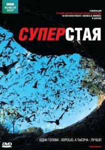 BBC: Суперстая 2009