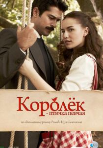 Королёк - птичка певчая 2013