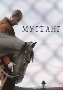 Мустанг 2017