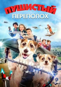 A Doggone Adventure 2018