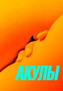 Акулы 2019