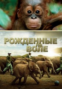 Рожденные на воле 2011