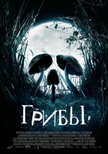 Грибы 2007