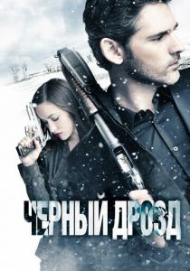 Чёрный дрозд 2011