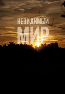 Невидимый мир 2012