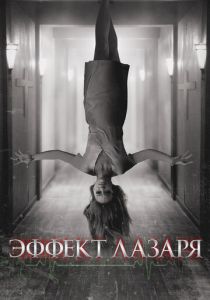 Эффект Лазаря 2013