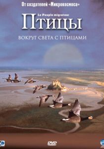 Птицы 2001