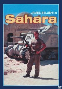 Сахара 1995