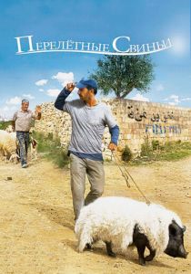 Перелетные свиньи 2011