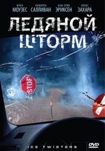 Ледяной шторм 2009
