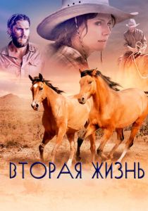 Вторая жизнь 2017