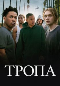 Тропа 2019