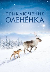 Приключения олененка 2018