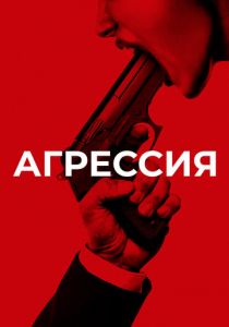 Агрессия 2017