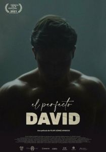 El perfecto David 2021