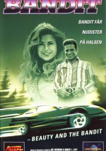 Красавица и бандит 1994