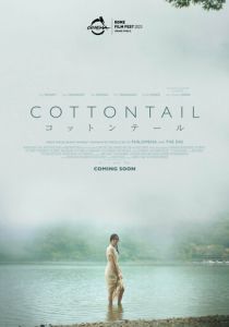 Cottontail 2020