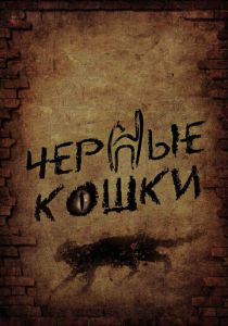 Черные кошки 2013