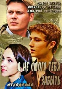 Я не смогу тебя забыть 2013