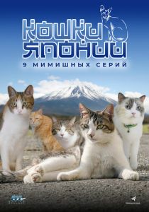 Кошки Японии 2017