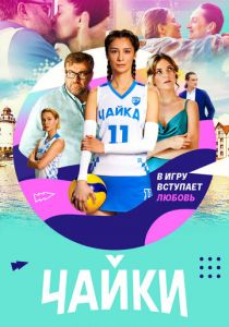 Чайки 2022