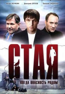 Стая 2005
