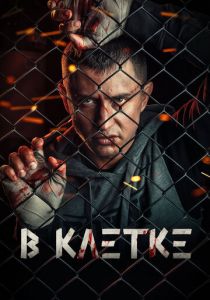 В клетке 2019