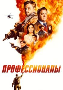 Профессионалы 2020