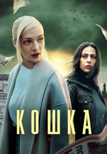 Кошка 2023