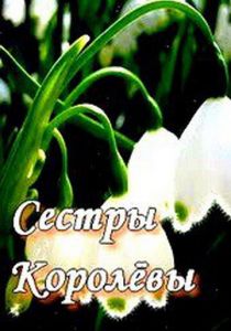Сестры Королевы 2010