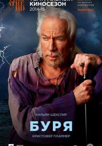 Буря 2010