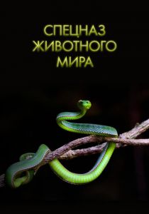 Спецназ животного мира 2018