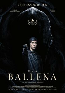 Una ballena 2024