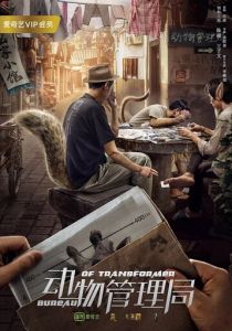 Бюро трансформеров 2019