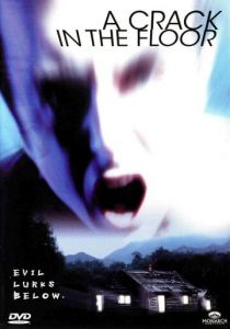 Трещина в полу 2001