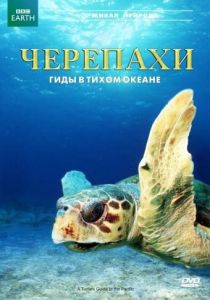 Черепахи: Гиды в Тихом океане (Фильм 2008)
